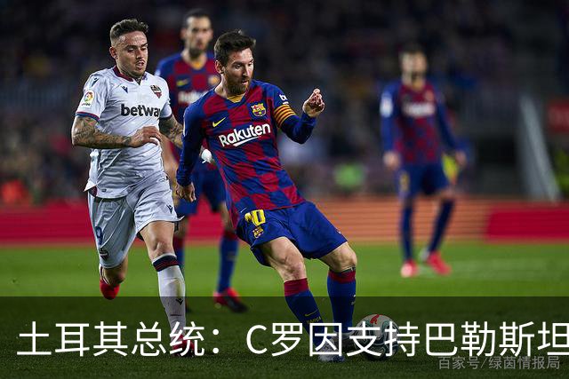 土耳其总统：C罗因支持巴勒斯坦而遭受政治打压