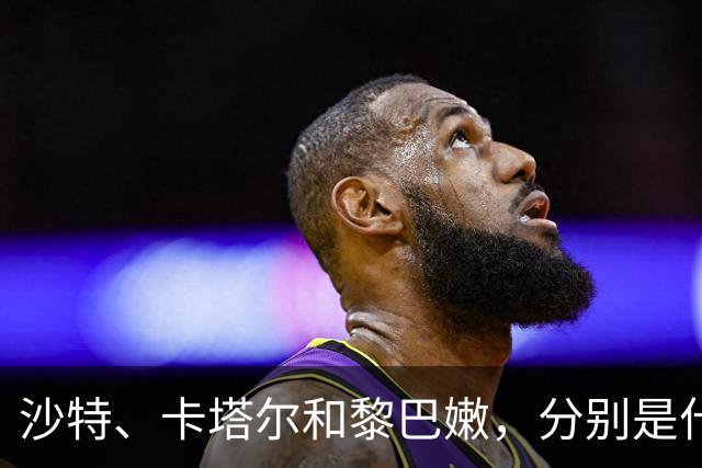 沙特、卡塔尔和黎巴嫩，分别是什么水平？